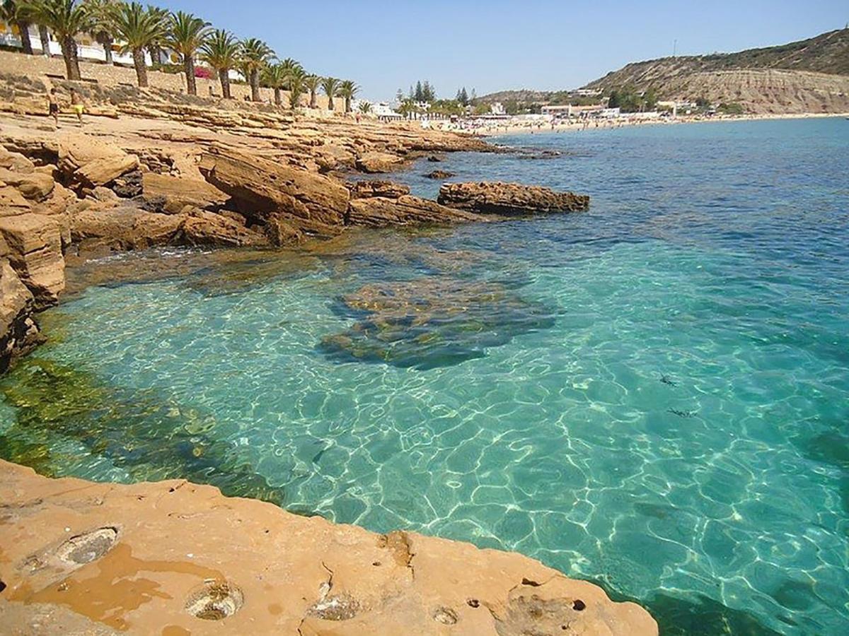 The Fantastic Beach House Of Luz المظهر الخارجي الصورة